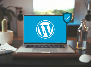 WordPress Development